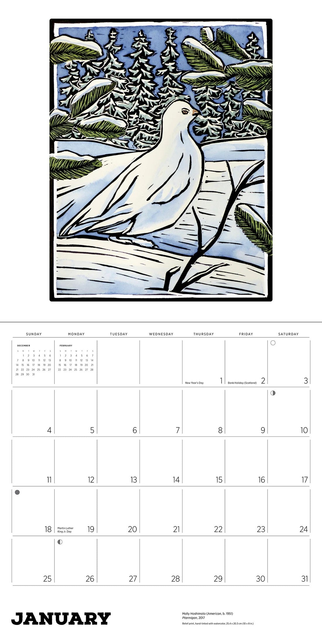 MOLLY HASHIMOTO: BIRDS-2026 WALL CALENDAR