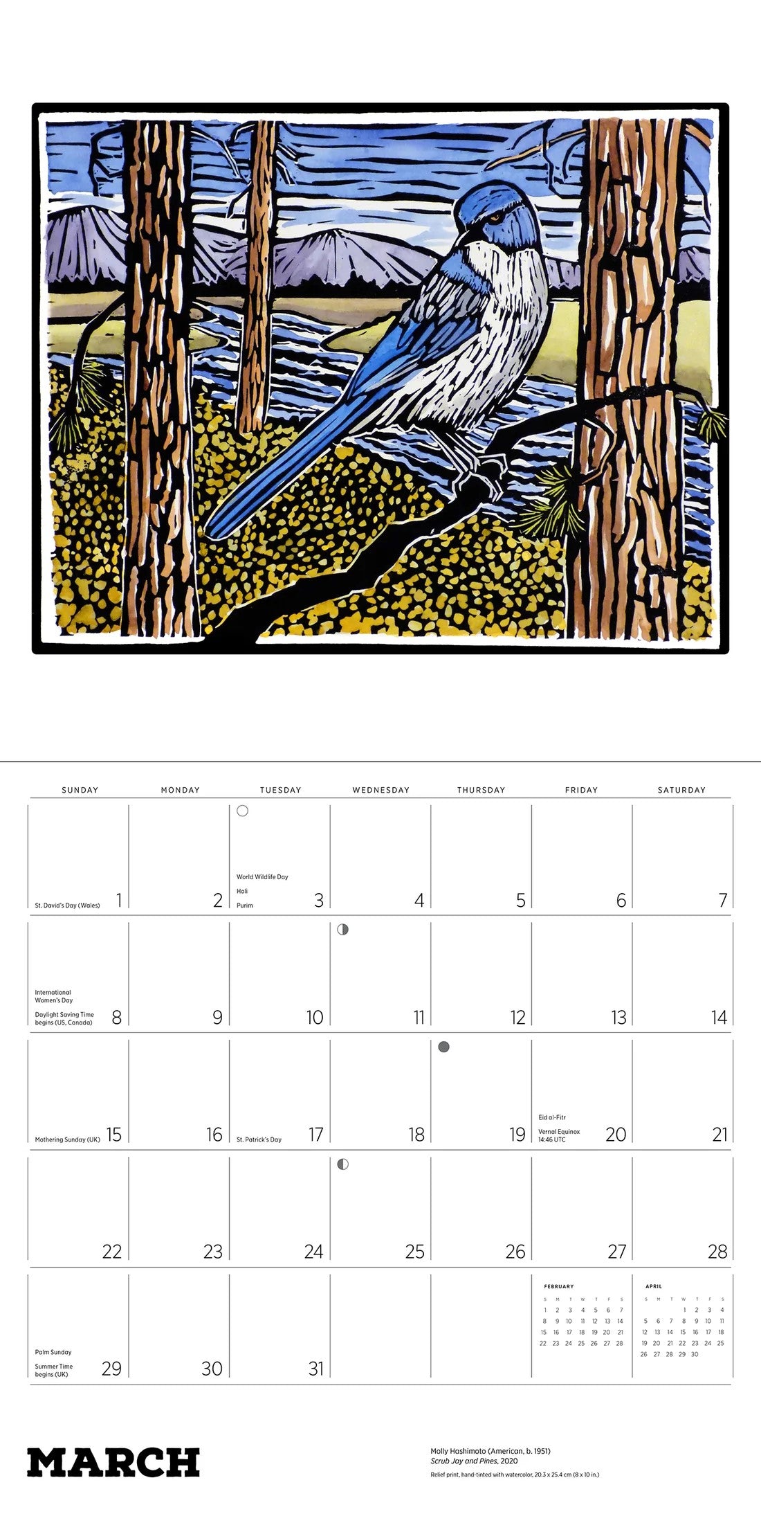MOLLY HASHIMOTO: BIRDS-2026 WALL CALENDAR