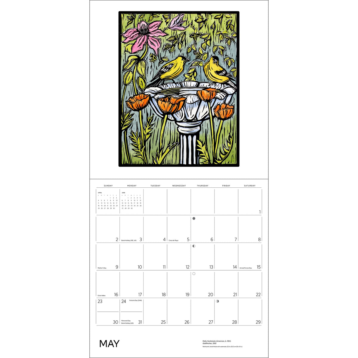 MOLLY HASHIMOTO: BIRDS-2027 WALL CALENDAR