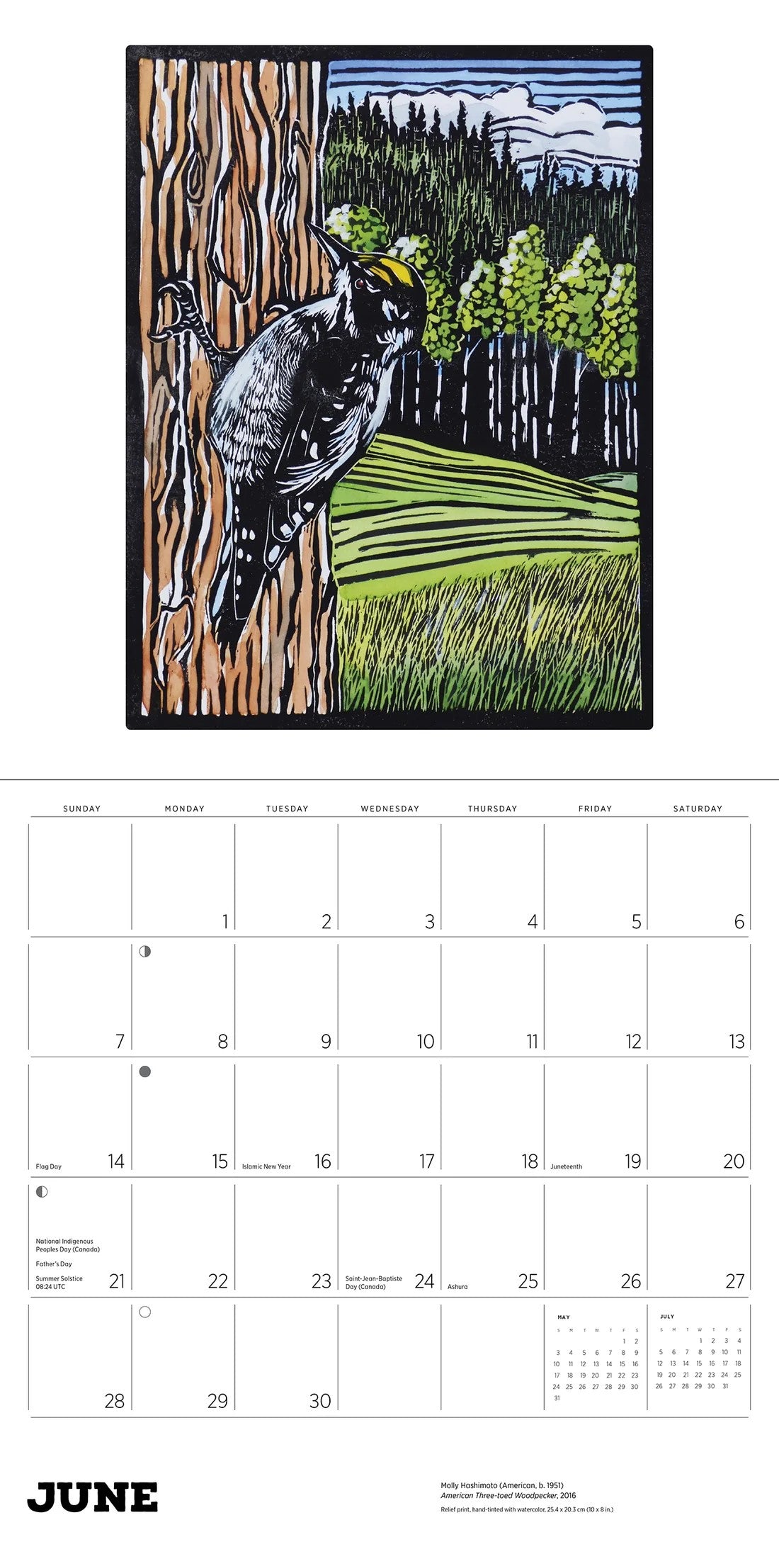 MOLLY HASHIMOTO: BIRDS-2026 WALL CALENDAR