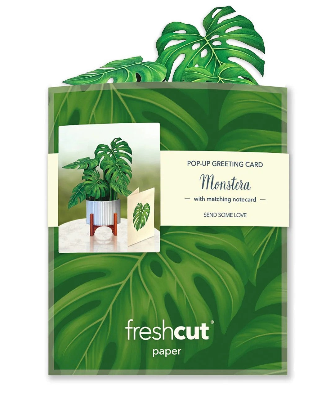 The Mini Monstera Plant greeting card is small statement piece for your home, complete with a mahogany wood stand and modern white planter. This paper plant brings serenity to every space it inhabits.  Dimensions: 5.5” x 5". Printed on both sides. Mailing envelope, pop up greeting card and blank notecard included.