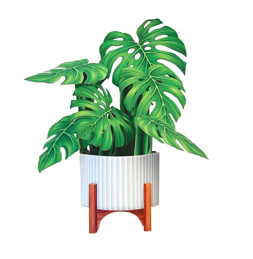 The Mini Monstera Plant greeting card is small statement piece for your home, complete with a mahogany wood stand and modern white planter. This paper plant brings serenity to every space it inhabits.  Dimensions: 5.5” x 5". Printed on both sides. Mailing envelope, pop up greeting card and blank notecard included.