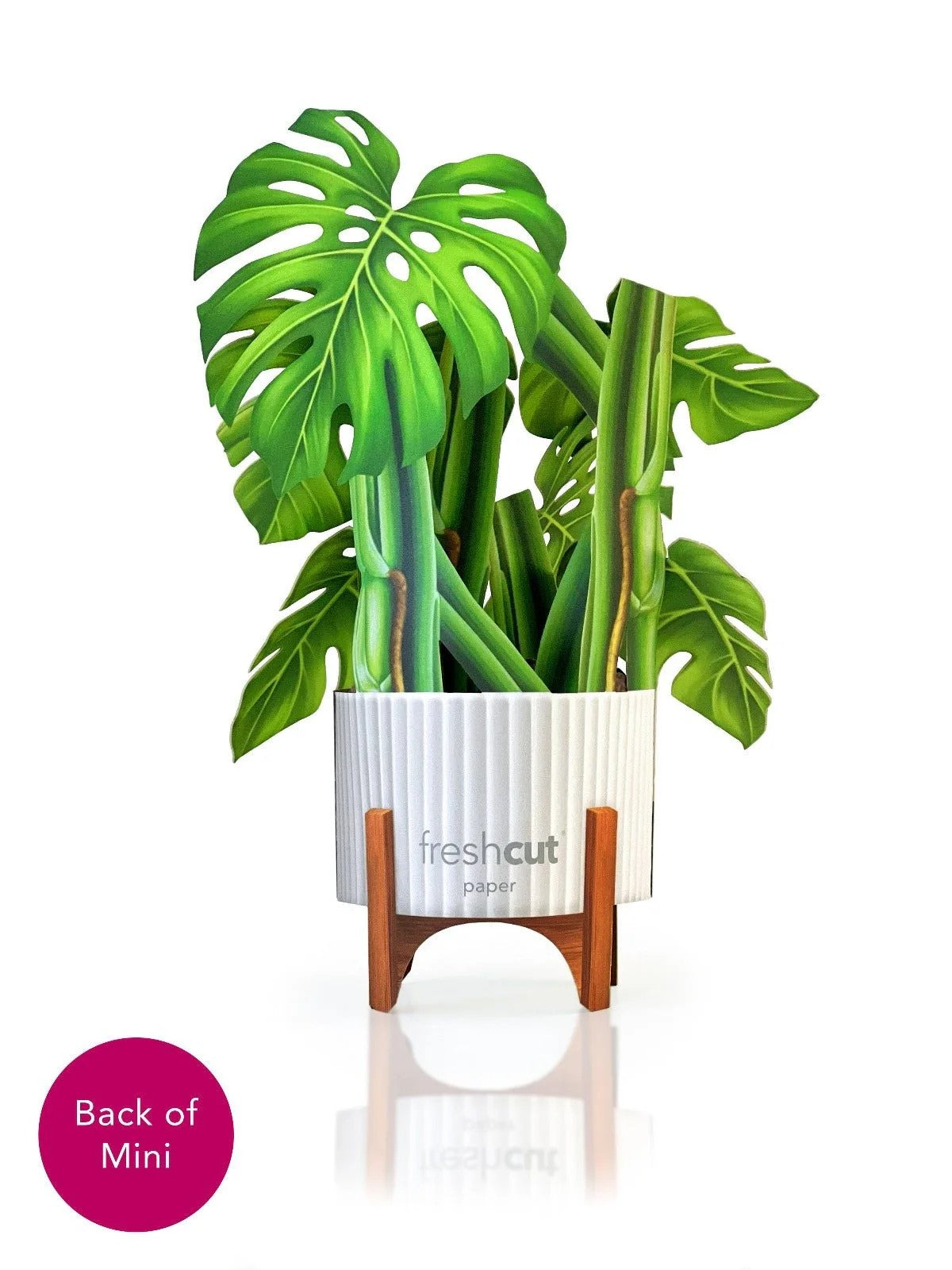 paper monstera plant Mini Monstera Pop-Up Card