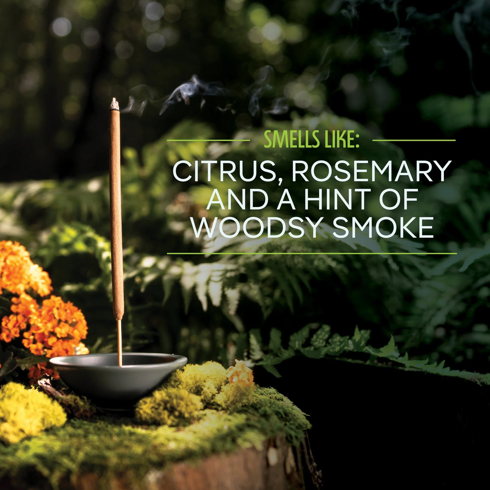 When these large-sized incense sticks burn, their unique blend of natural essential oils are released into the air to repel mosquitoes naturally. Each incense stick provides up to 2.5 hours of protection. Pack of 12 incense sticks All natural ingredients For outdoor use only Net weight: 3.96 oz.