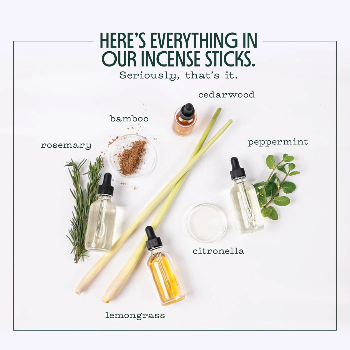 MOSQUITO REPELLENT INCENSE STICKS