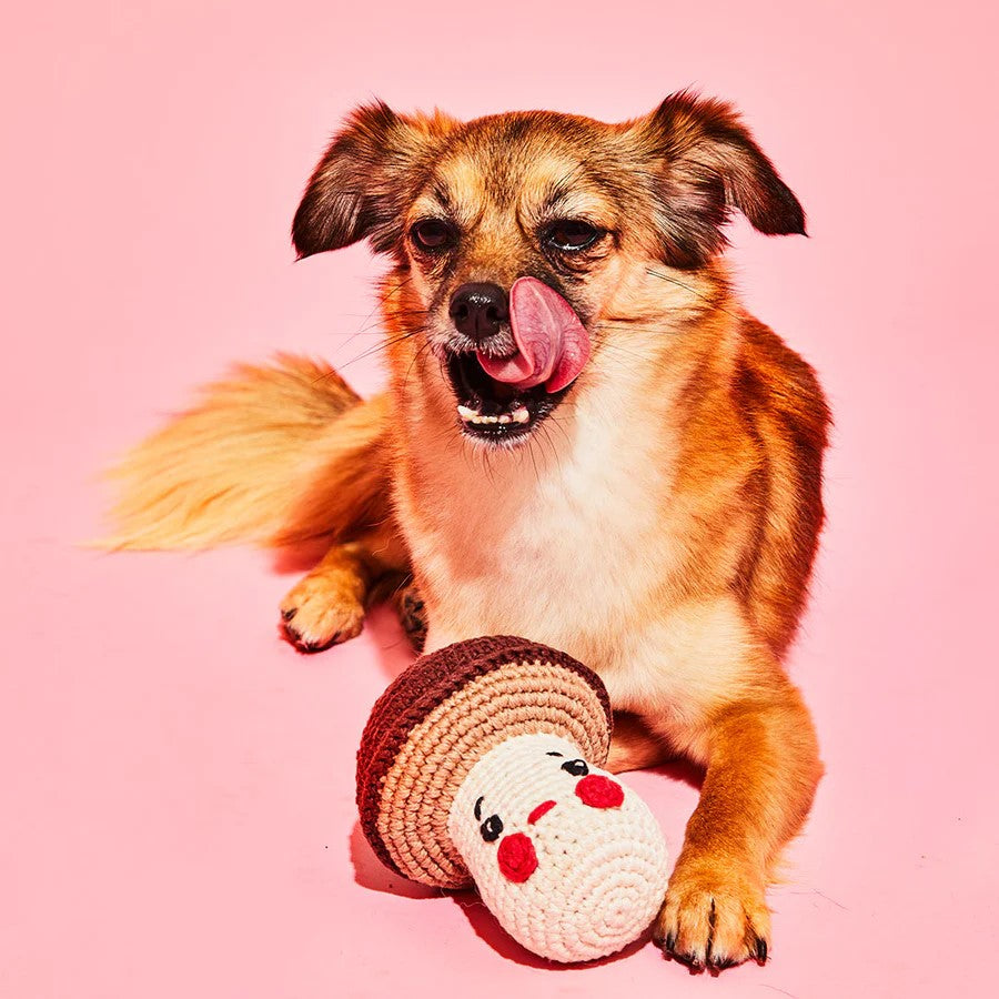 A mushroom-shaped crocheted dog toy on a white background.