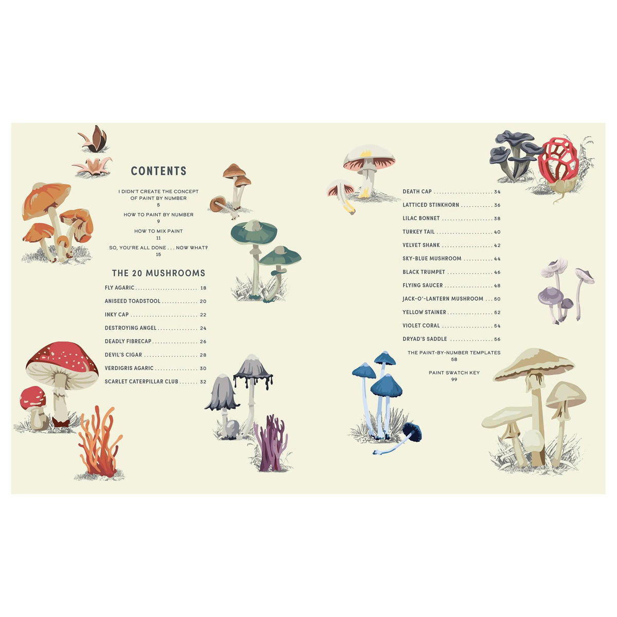 COLOREADY MUSHROOMS: 20 MODERN PAINT- BY- NUMBER PRINTS