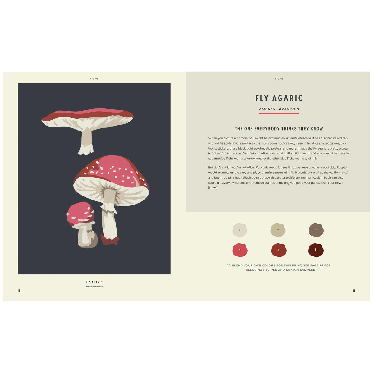 COLOREADY MUSHROOMS: 20 MODERN PAINT- BY- NUMBER PRINTS