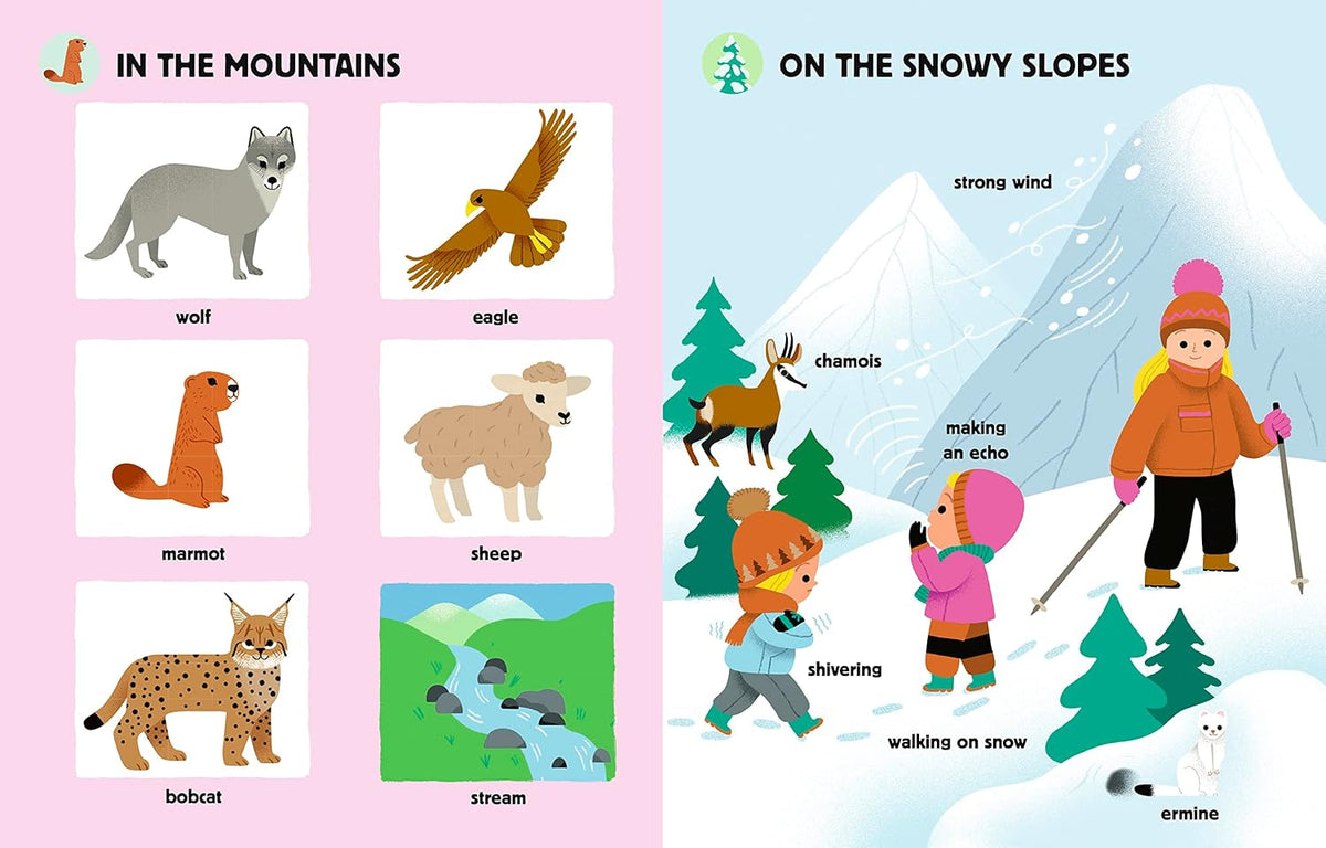 MY BIG BOOK OF NATURE SOUNDS