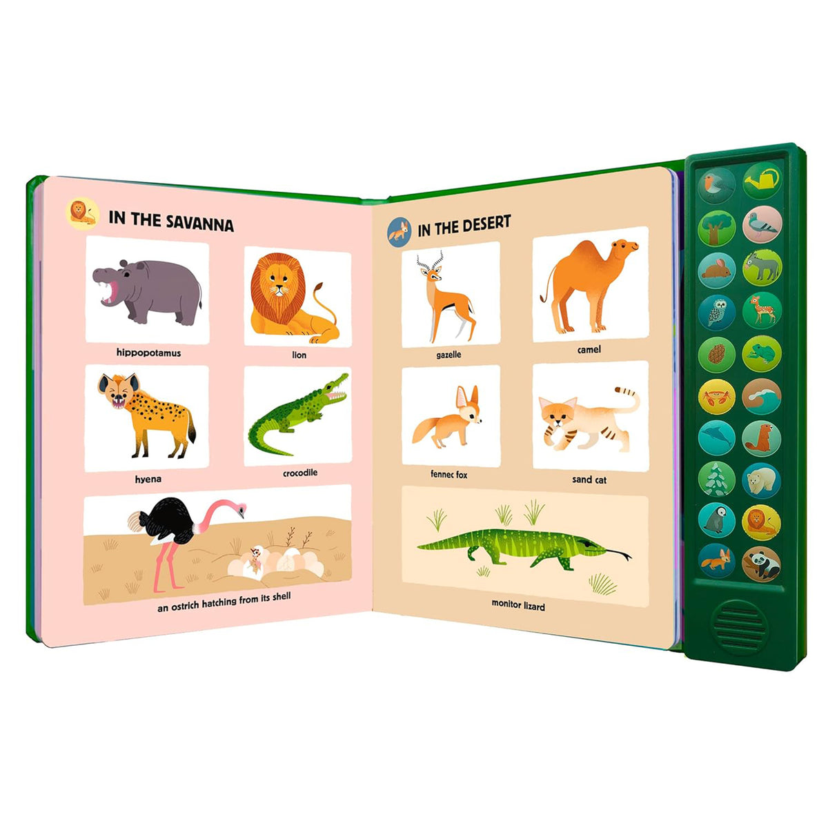 MY BIG BOOK OF NATURE SOUNDS