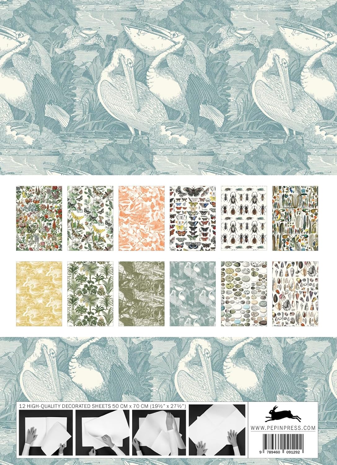 NATURAL HISTORY GIFTWRAP BOOK