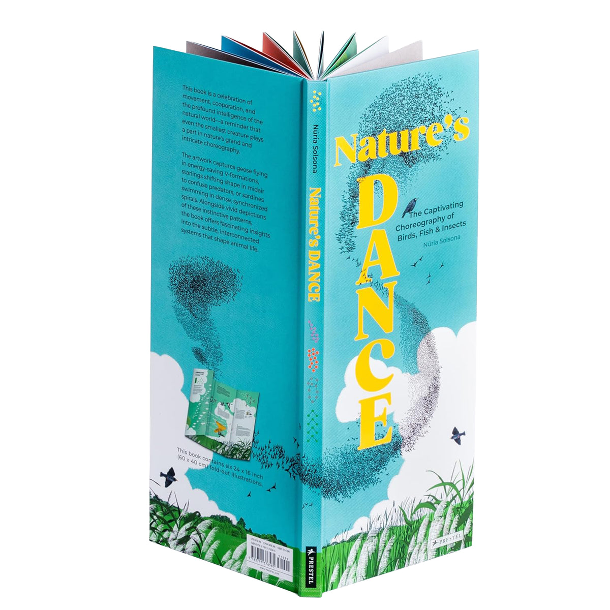 Book titled 'Nature's Dance' with a blue cover and white text on a white background