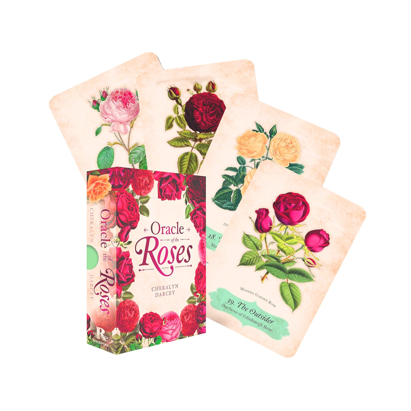 Oracle of Roses card set with colorful roses on a white background