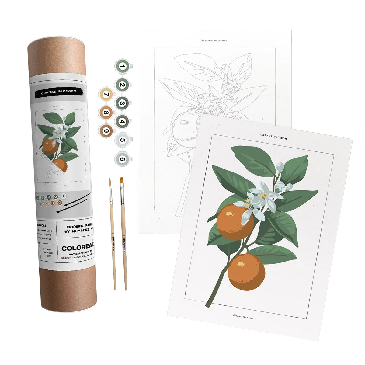 Artistic coloring kit with roll of paper, markers, and coloring book on a white background