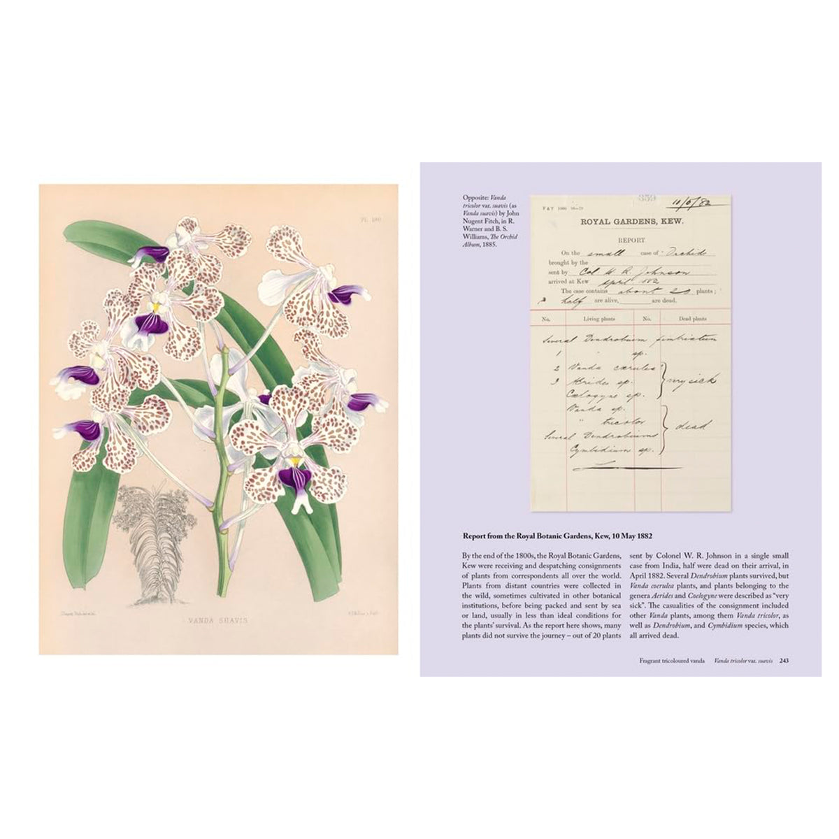 THE ORCHID: A CELEBRATION OF THE WORLD'S MOST CHARISMATIC FLOWER