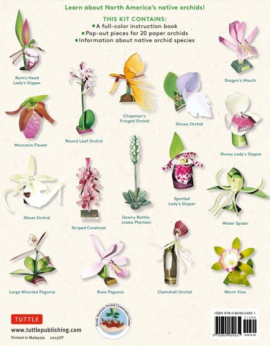Create beautiful paper models of 20 orchid species! Display native orchids with these realistic paper replicas that you simply pop-out and glue together--no scissors required! The project introductions show photos of the finished models as well as stunning photos of each model's living counterpart.