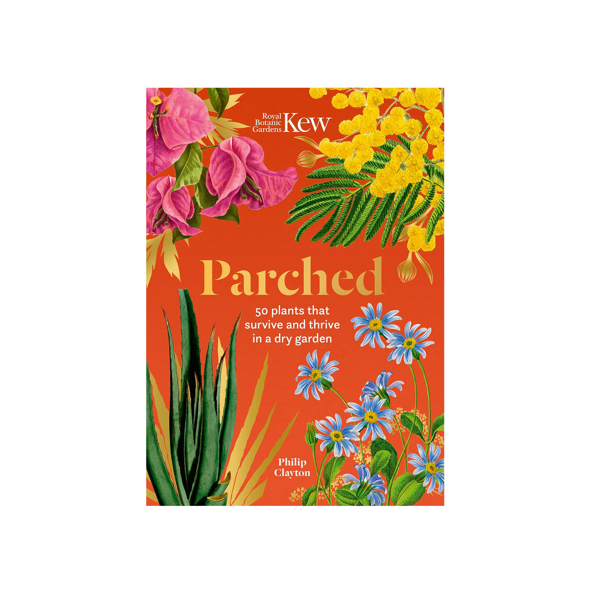 Book cover of 'Parched' by Philip Clayton with colorful plants on an orange background