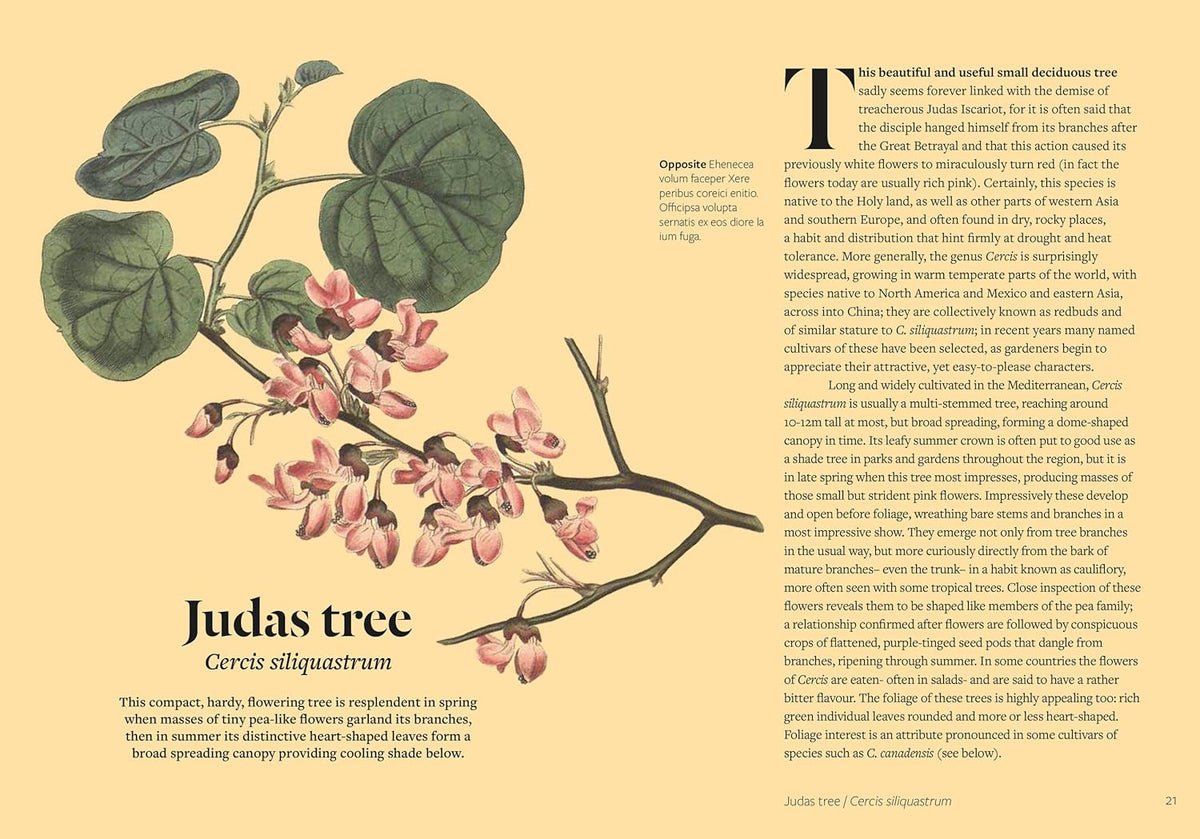 PARCHED: 50 PLANTS THAT THRIVE & SURVIVE IN A DRY GARDEN