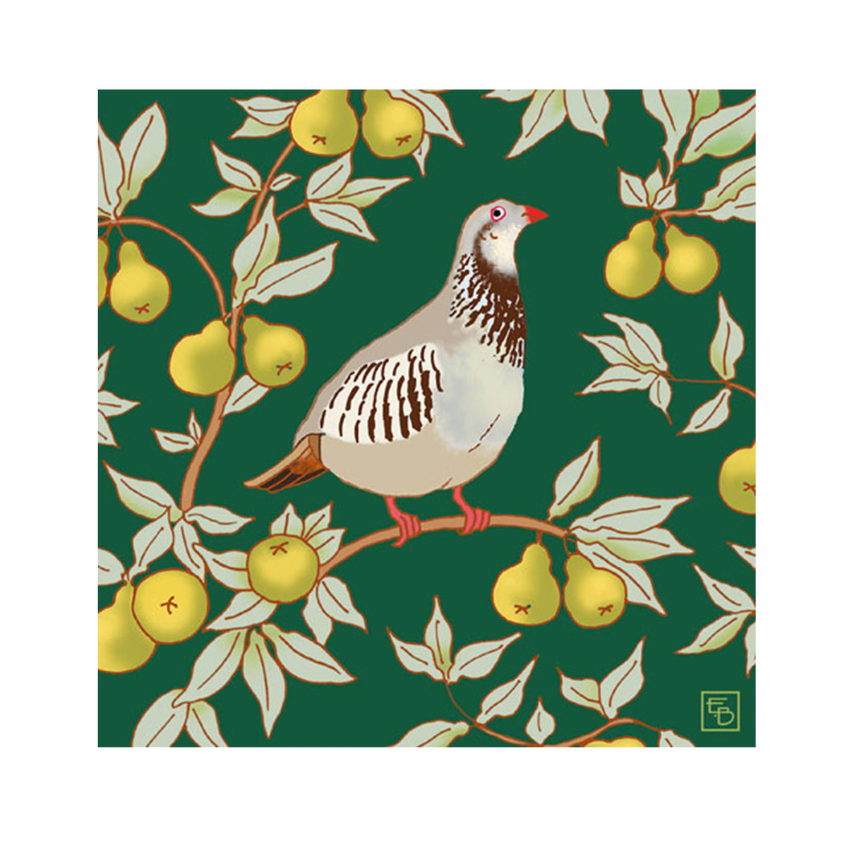 PARTRIDGE IN A PEAR TREE CHRISTMAS CARDS
