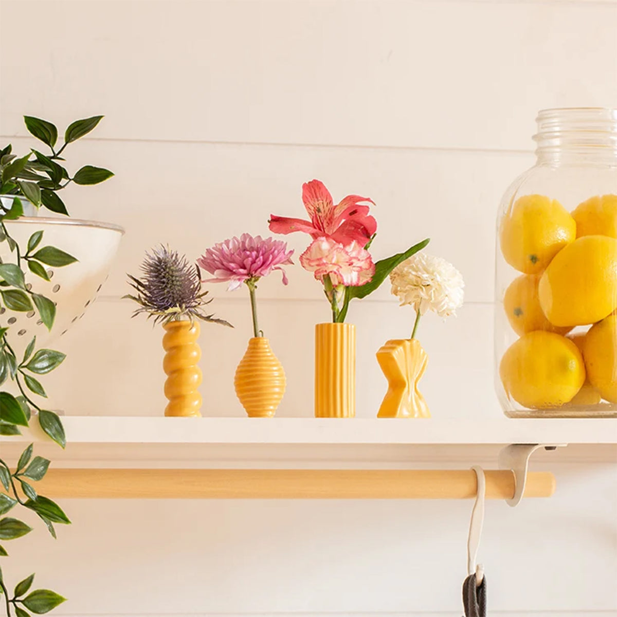PASTA BUD VASES - SET OF FOUR