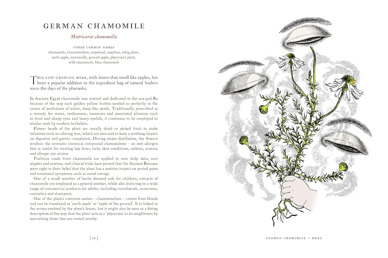 The intriguing tales of the plants that have been used to heal and cure our bodies. Since the dawn of time, people have used plants as remedies, to both positive and deadly effect. With striking illustrations and lively tales, this book will show that sometimes there is method in the madness. 176 pages. Hardcover.