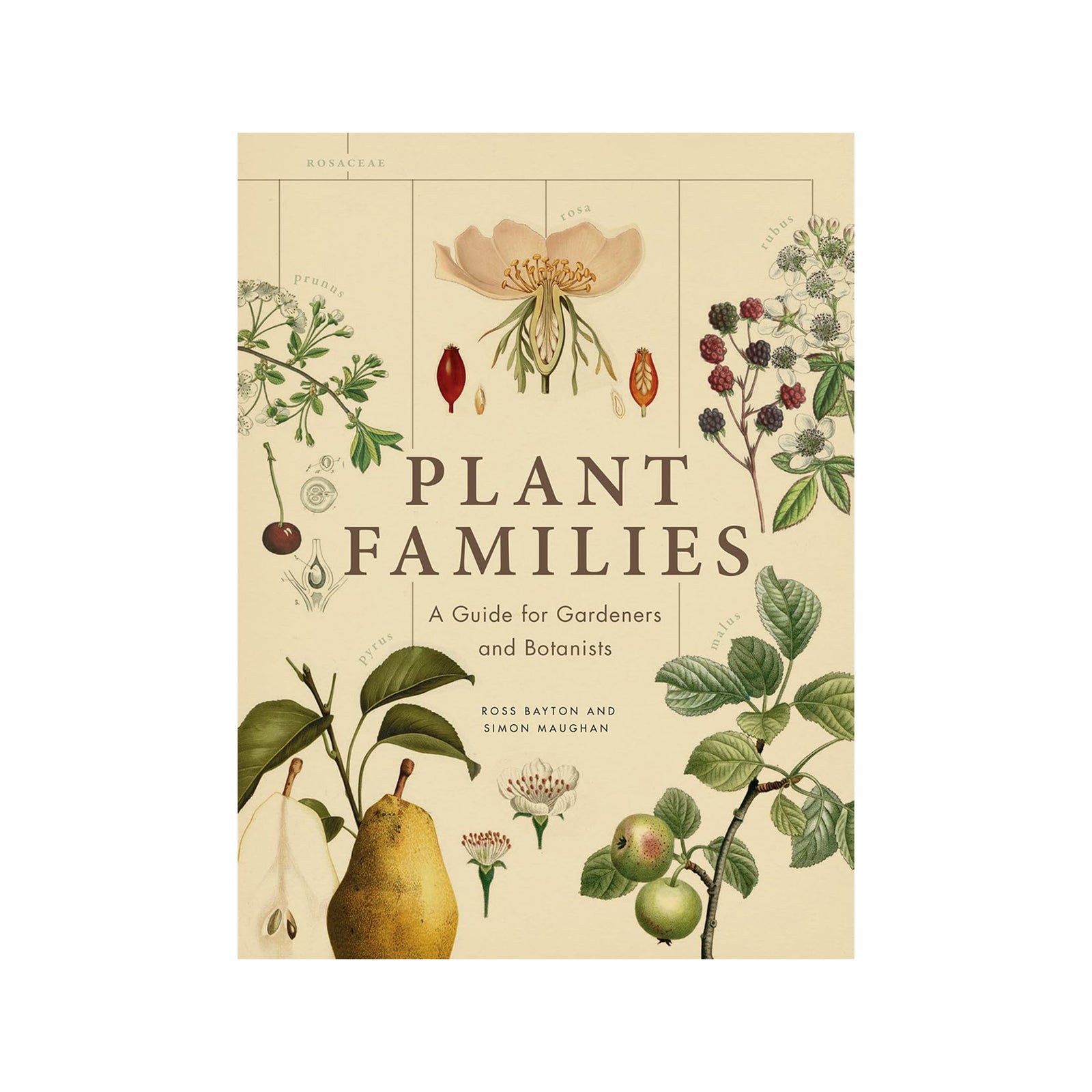 The front cover of the book 'Plant Families: A Guide for Gardeners and Botanists' by Ross Bayton and Simon Maughan, featuring a vintage botanical illustration design on a warm cream background.