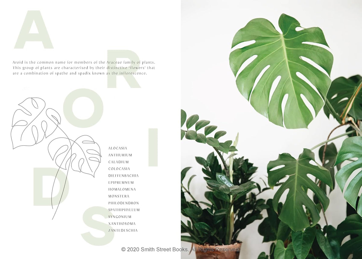 PLANTOPEDIA - THE DEFINITIVE GUIDE TO HOUSEPLANTS