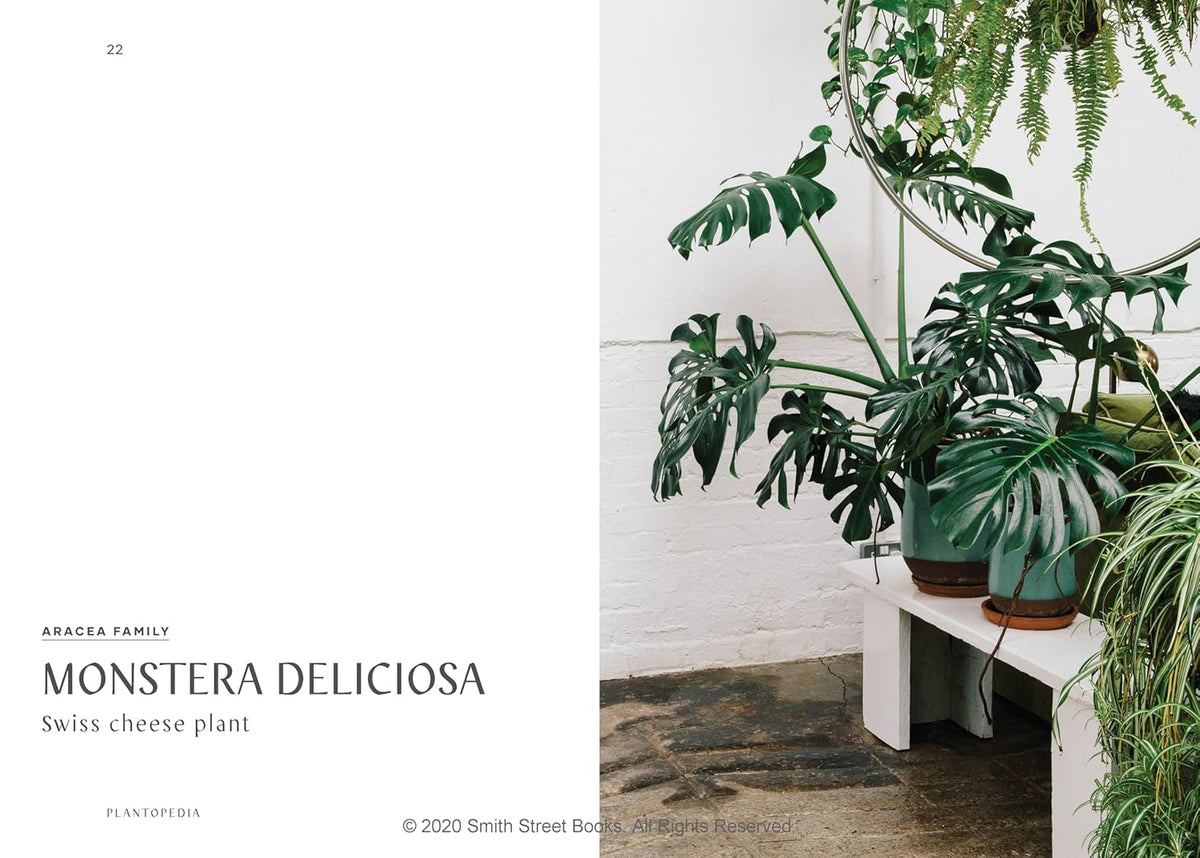 PLANTOPEDIA - THE DEFINITIVE GUIDE TO HOUSEPLANTS