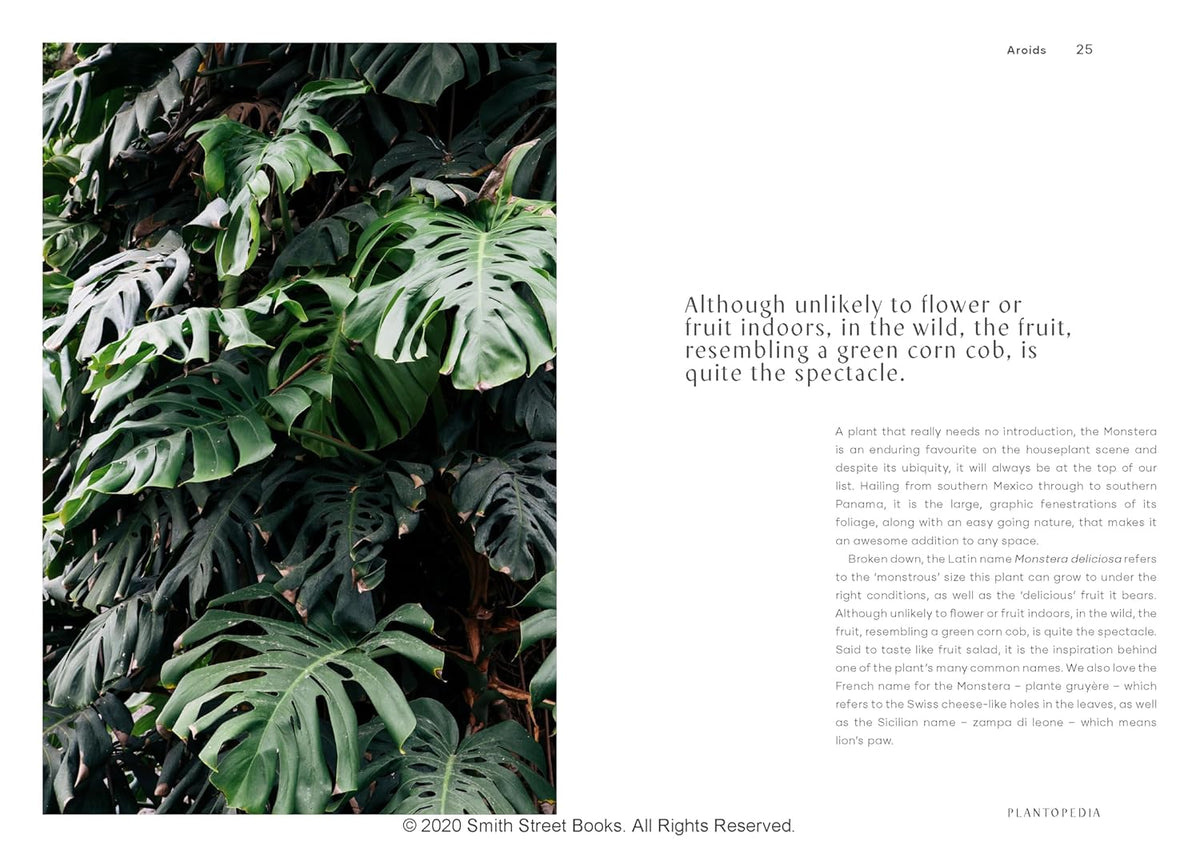 PLANTOPEDIA - THE DEFINITIVE GUIDE TO HOUSEPLANTS