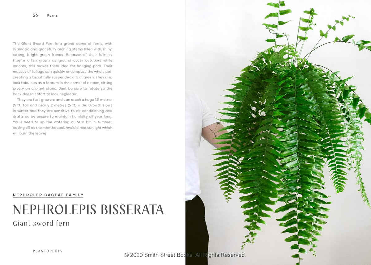 PLANTOPEDIA - THE DEFINITIVE GUIDE TO HOUSEPLANTS