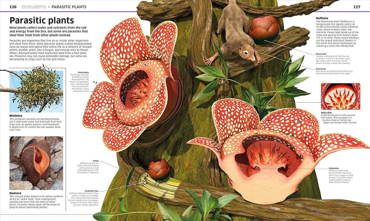 PLANTS AND FUNGI!: OUR GROWING WORLD AS YOU'VE NEVER SEEN IT BEFORE