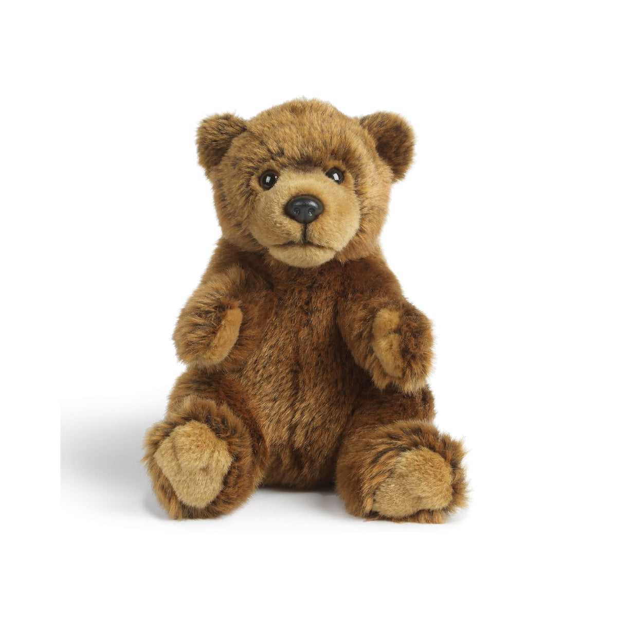 Brown teddy bear on a white background