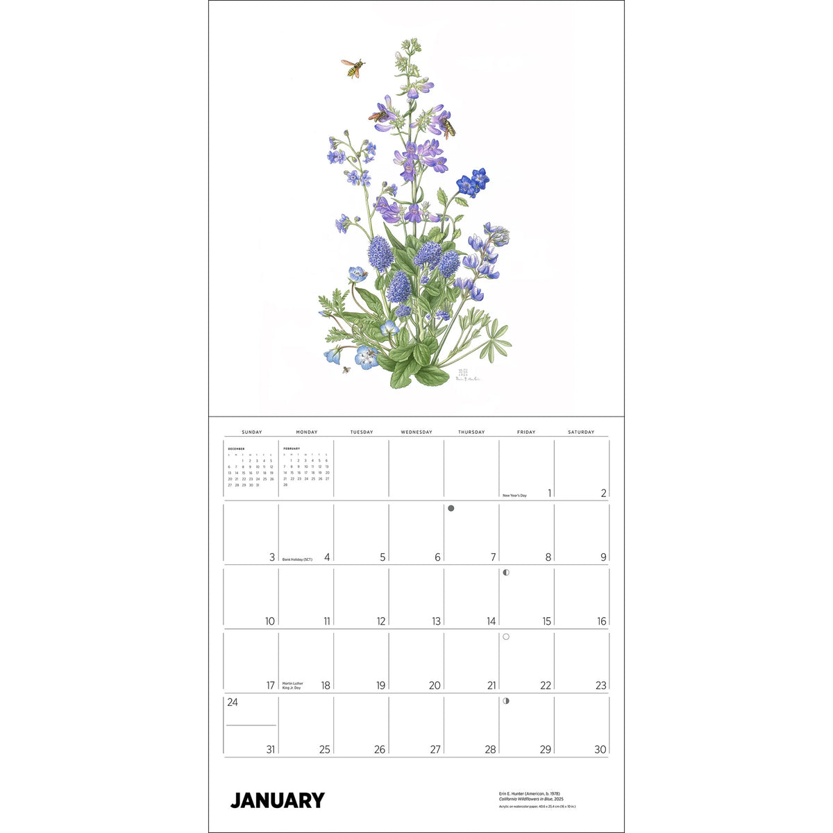 POLLINATORS WALL CALENDAR 2027
