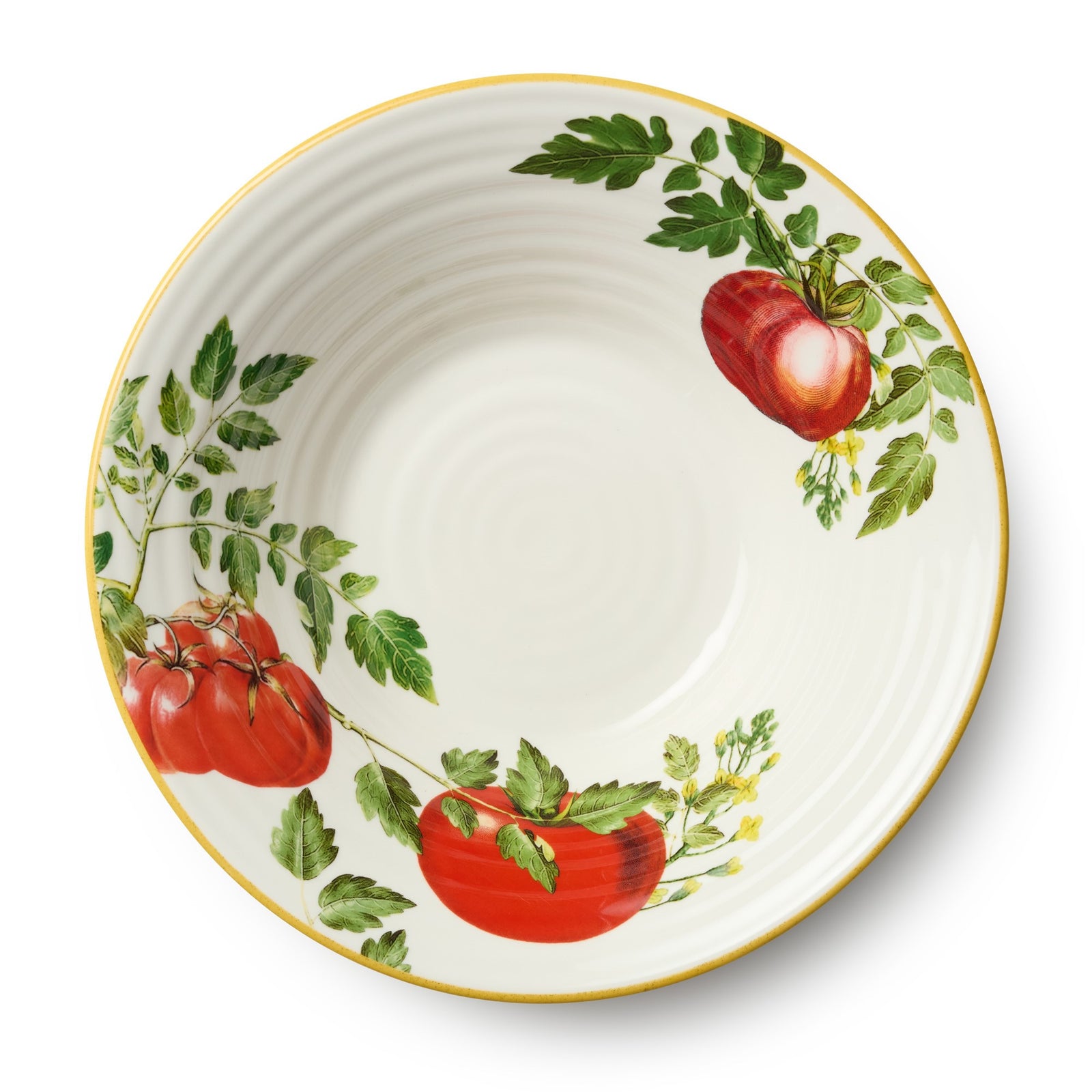 Decorative plate with red tomatoes and green leaves on a white background
