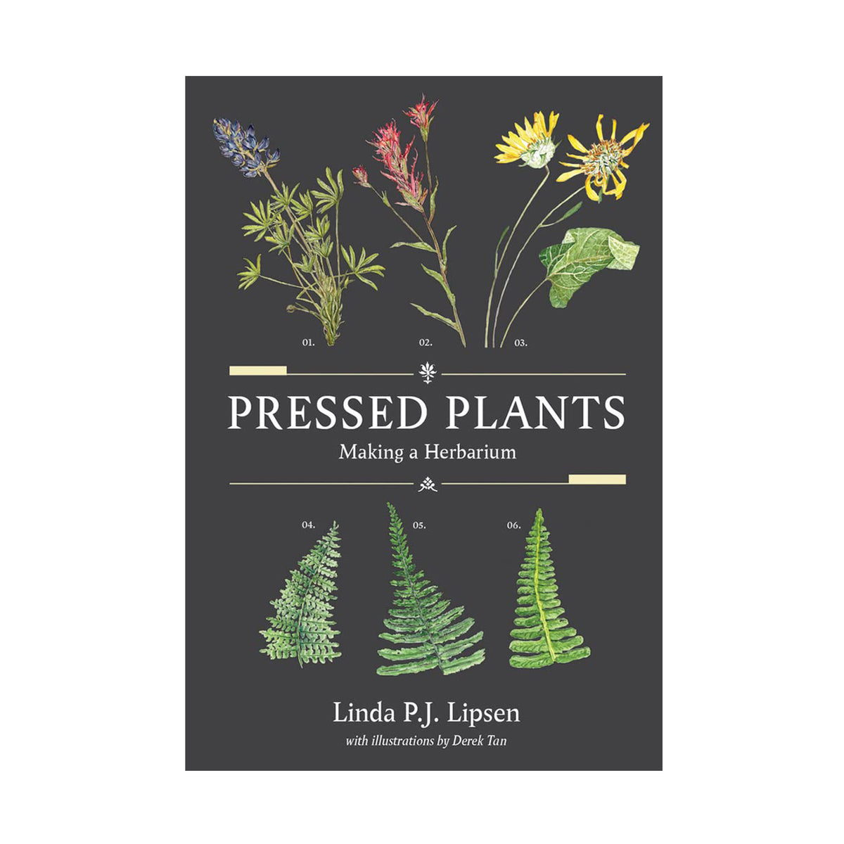 Book cover of &#39;Pressed Plants: Making a Herbarium&#39; with illustrations of plants on a dark background.