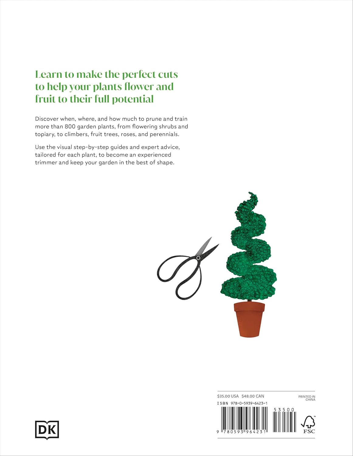 PRUNING AND TRAINING: WHAT, WHEN, AND HOW TO PRUNE