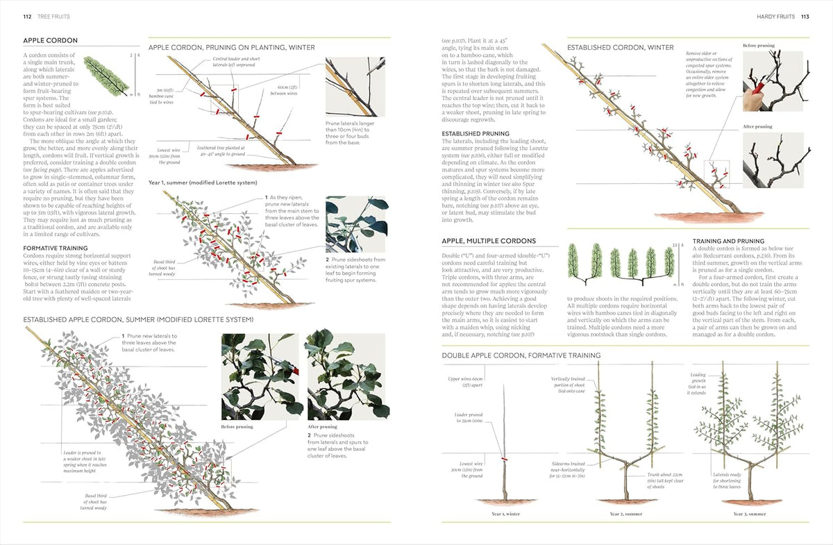 PRUNING AND TRAINING: WHAT, WHEN, AND HOW TO PRUNE