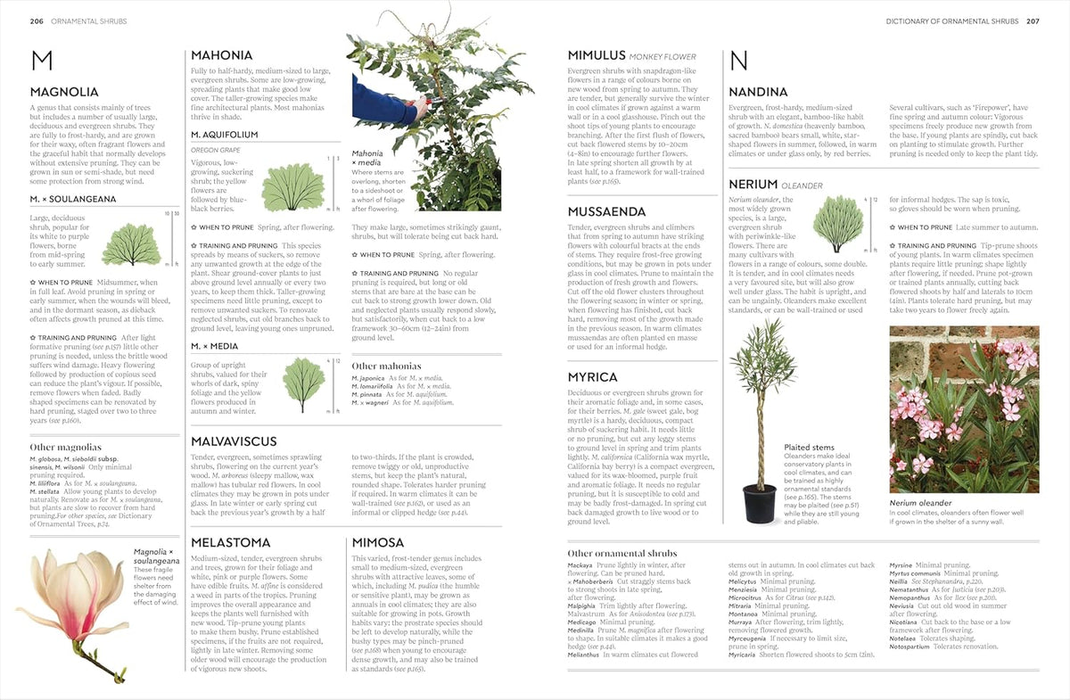 PRUNING AND TRAINING: WHAT, WHEN, AND HOW TO PRUNE