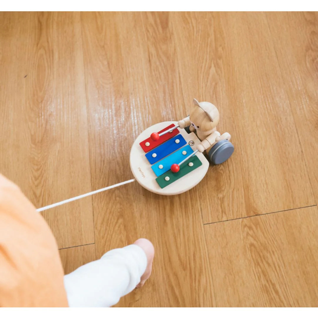 PULL-ALONG MUSICAL BEAR
