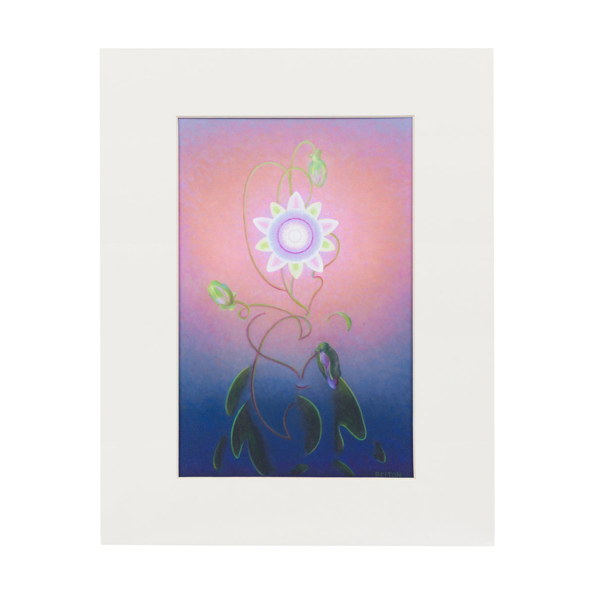 Framed artwork of a stylized passionflower with a gradient background