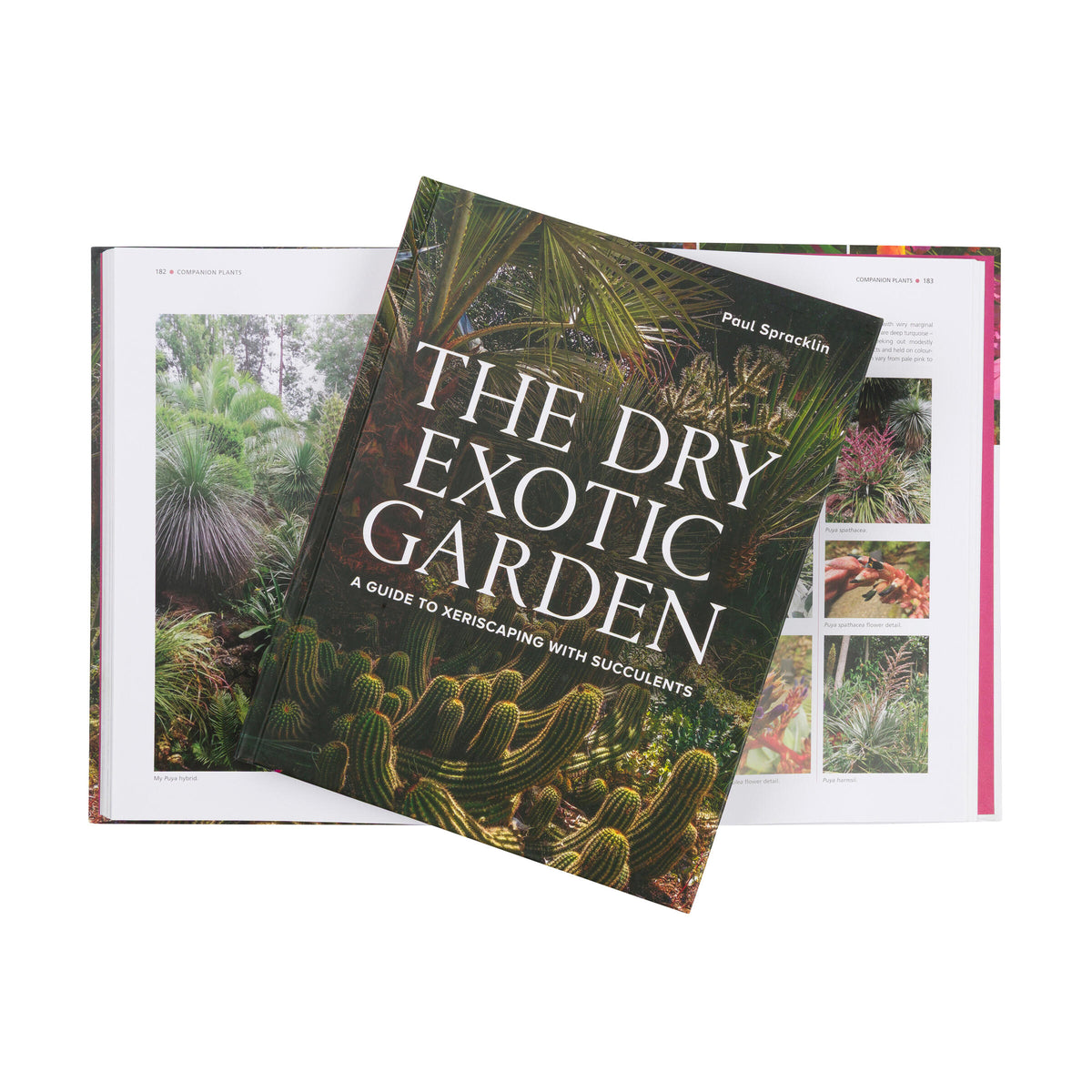 THE DRY EXOTIC GARDEN