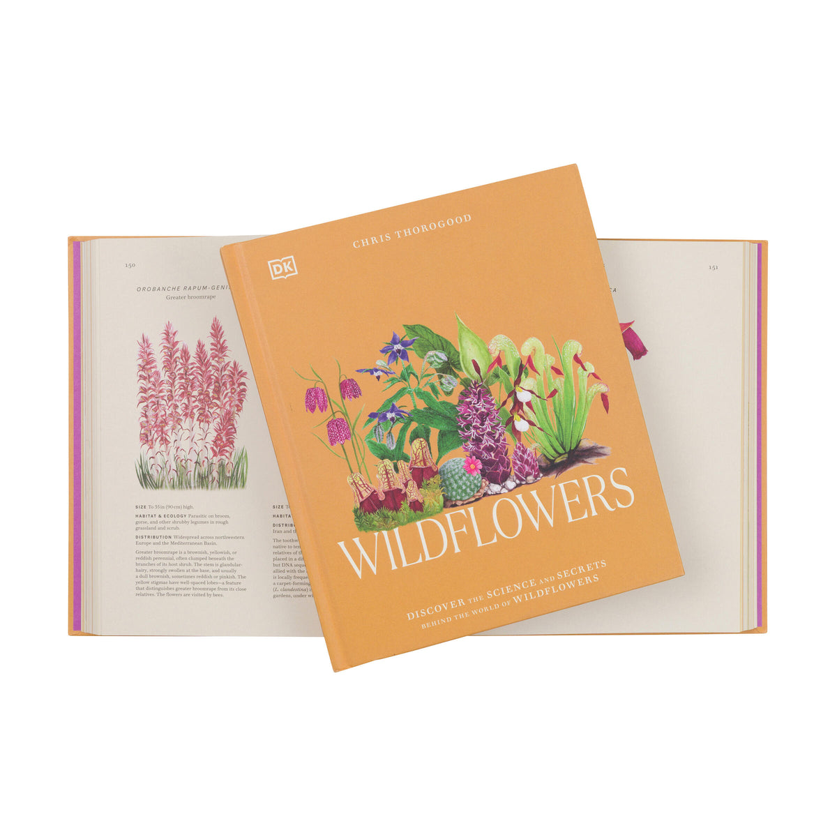 Book titled 'Wildflowers' with illustrations of plants on a white background