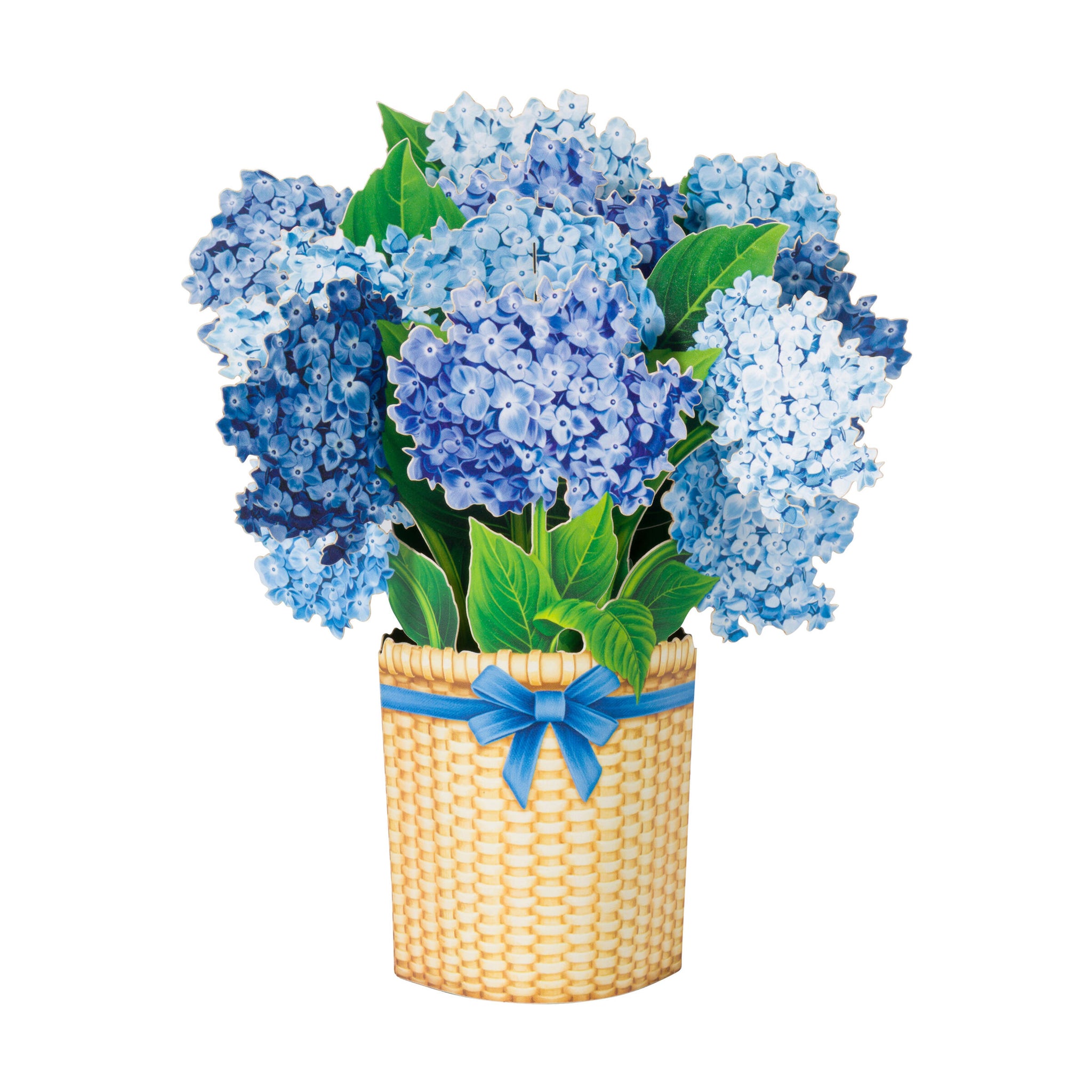 hydrangea succulent bouquet NANTUCKET HYDRANGEAS MINI POP-UP BOUQUET