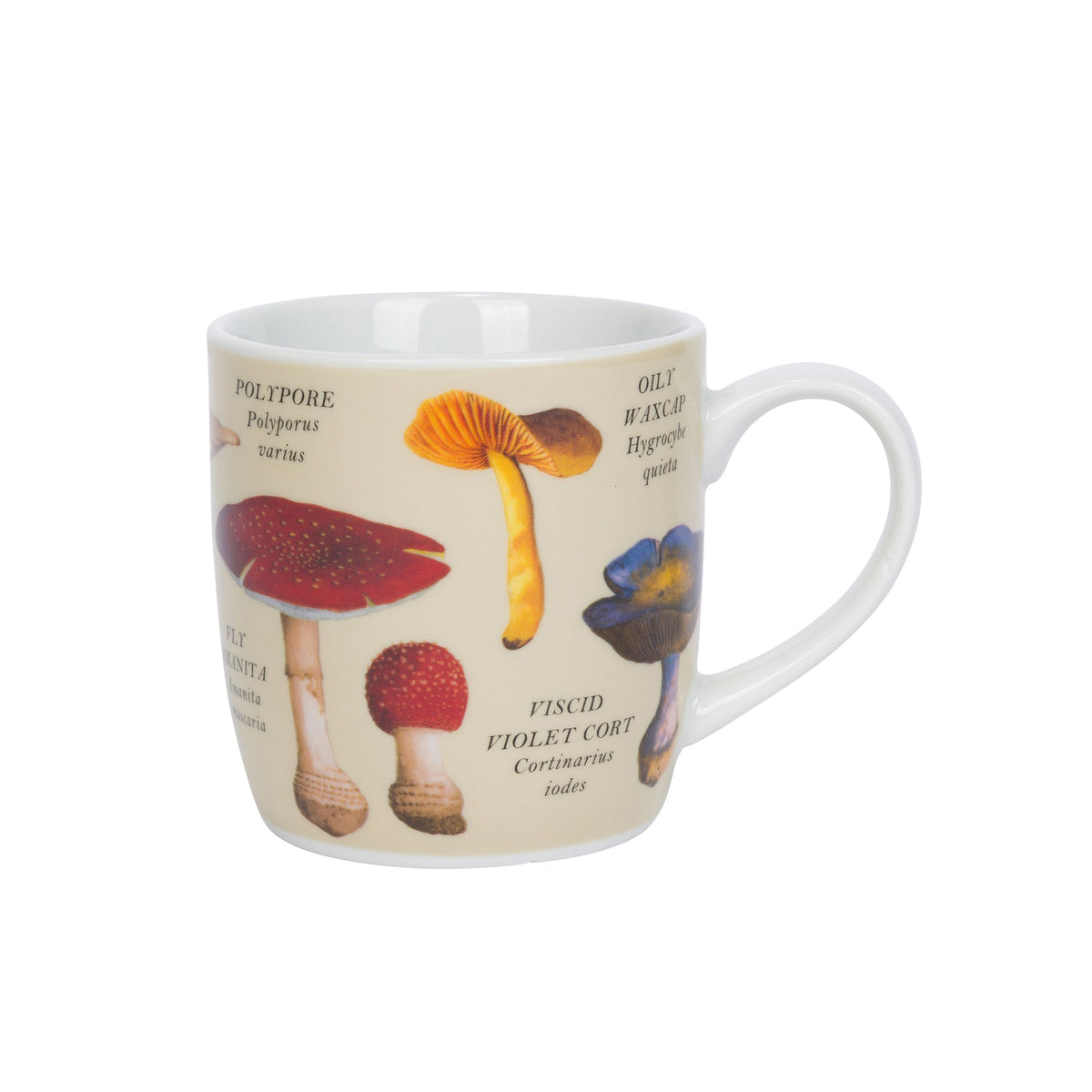 Mug with mushroom illustrations and text on a white background