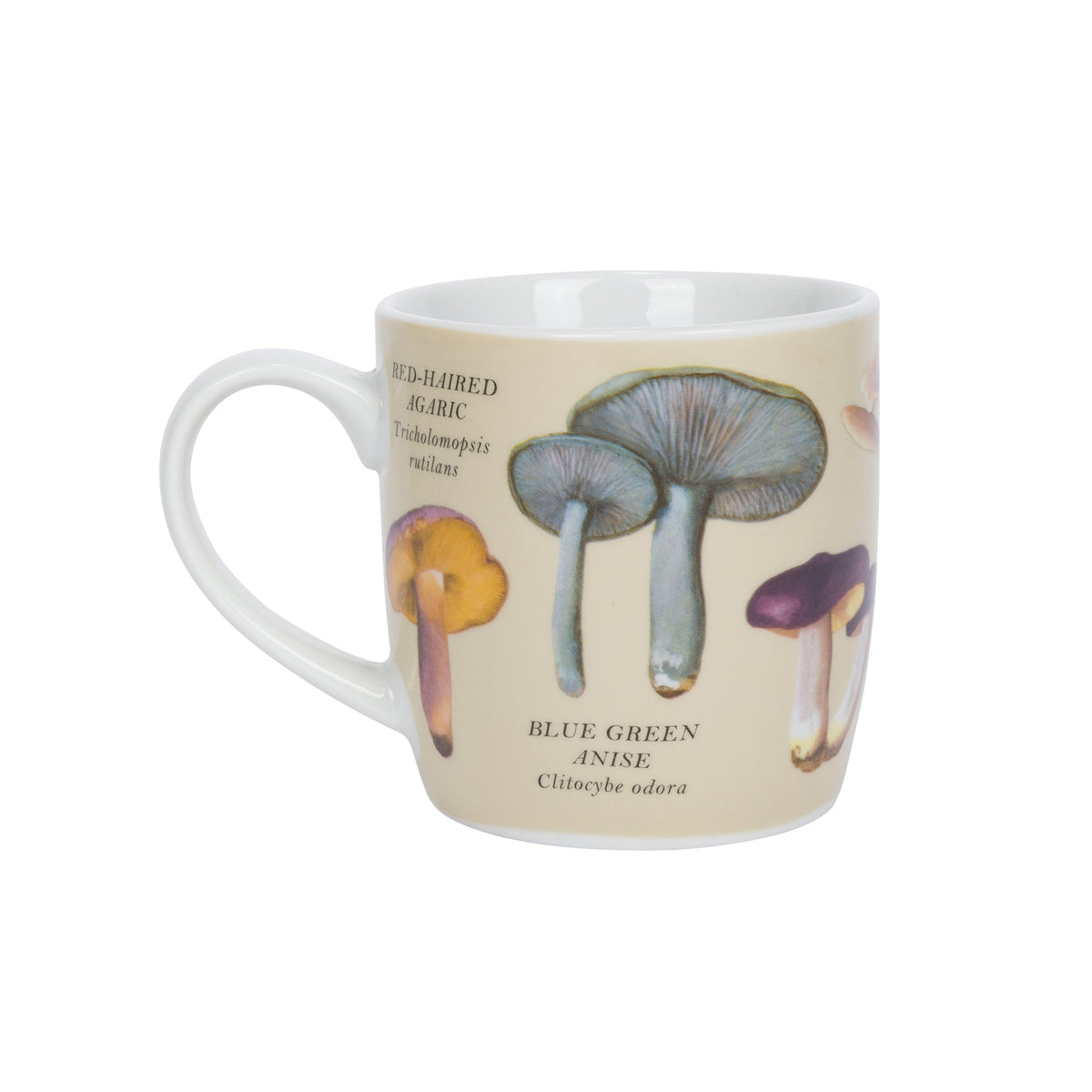 Mug with mushroom illustrations and text on a beige background