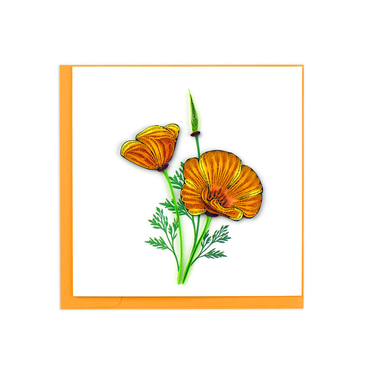 A square greeting card with a white center and bright orange border, featuring an illustration of two orange California poppy flowers with green stems and leaves.
