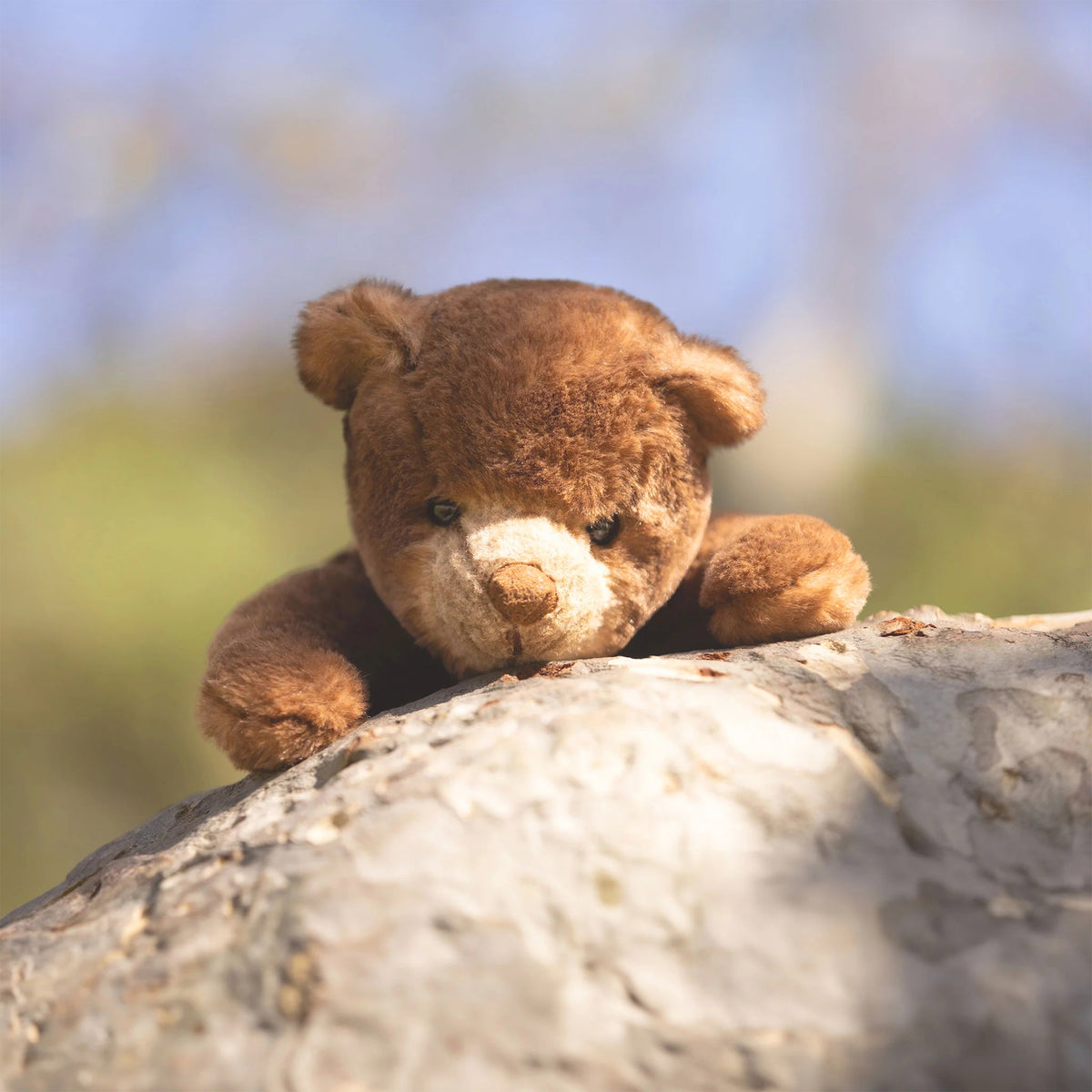 RANGER BEAR