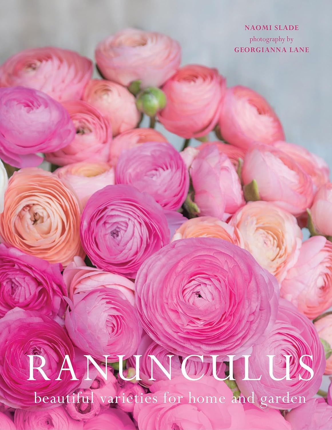 In the language of flowers, ranunculus (aka buttercup) is a symbol of seduction, charm, and attractiveness. It was particularly popular for bouquets in the Victorian era and has made a strong comeback as a bloom for modern-day wedding bouquets. This hardcover book delves into a genus that is widespread and intriguing.