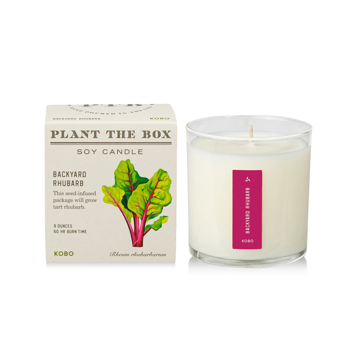 Soy candle with 'Plant the Box' packaging on a white background