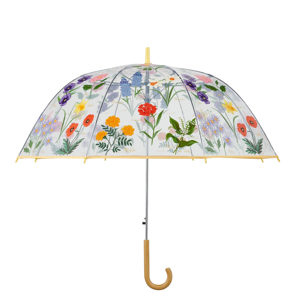 Clear umbrella with floral design on a white background